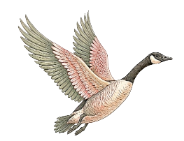 quiltery logo flying geese